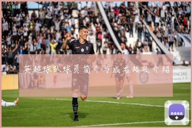 英超球队球员简介与成名路径介绍