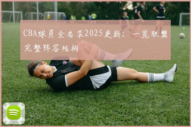CBA球员全名录2025更新：一览联盟完整阵容结构
