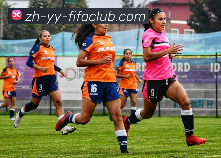 世界杯买球APP 封面图